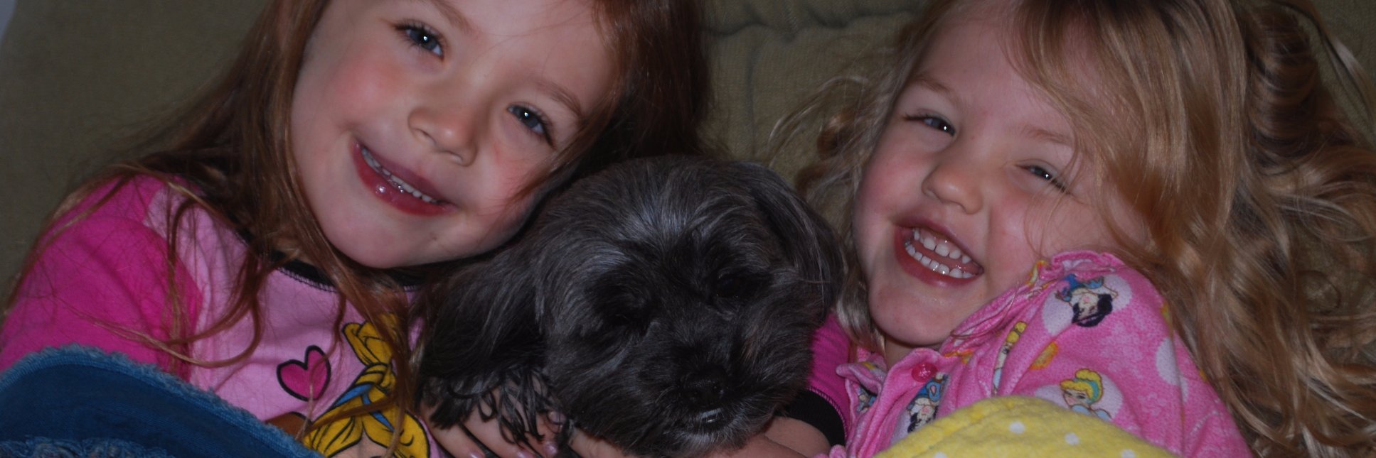 Eric Telander banner