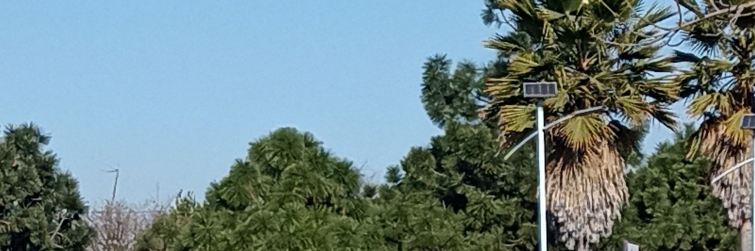 Roberto Valadez banner