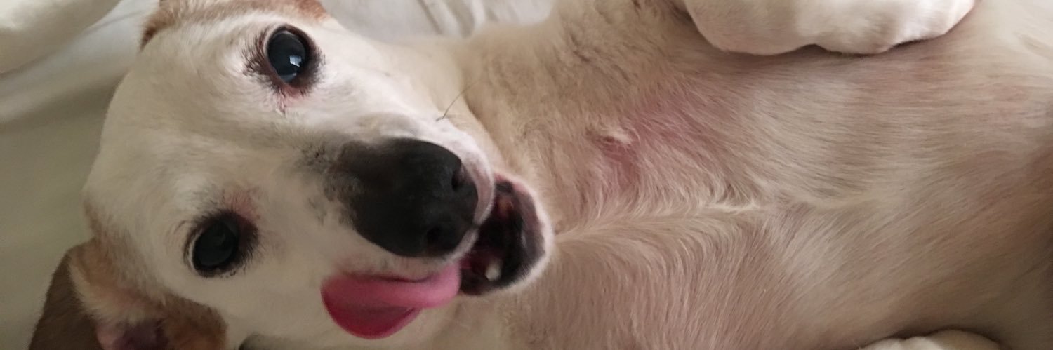 脂スライム banner