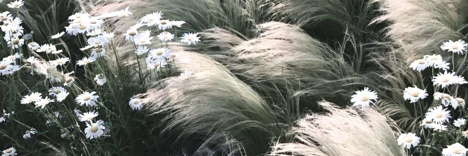 Cathk's profile banner image