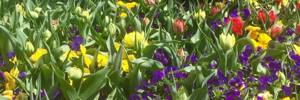 kaitlynekdahl Profile Banner