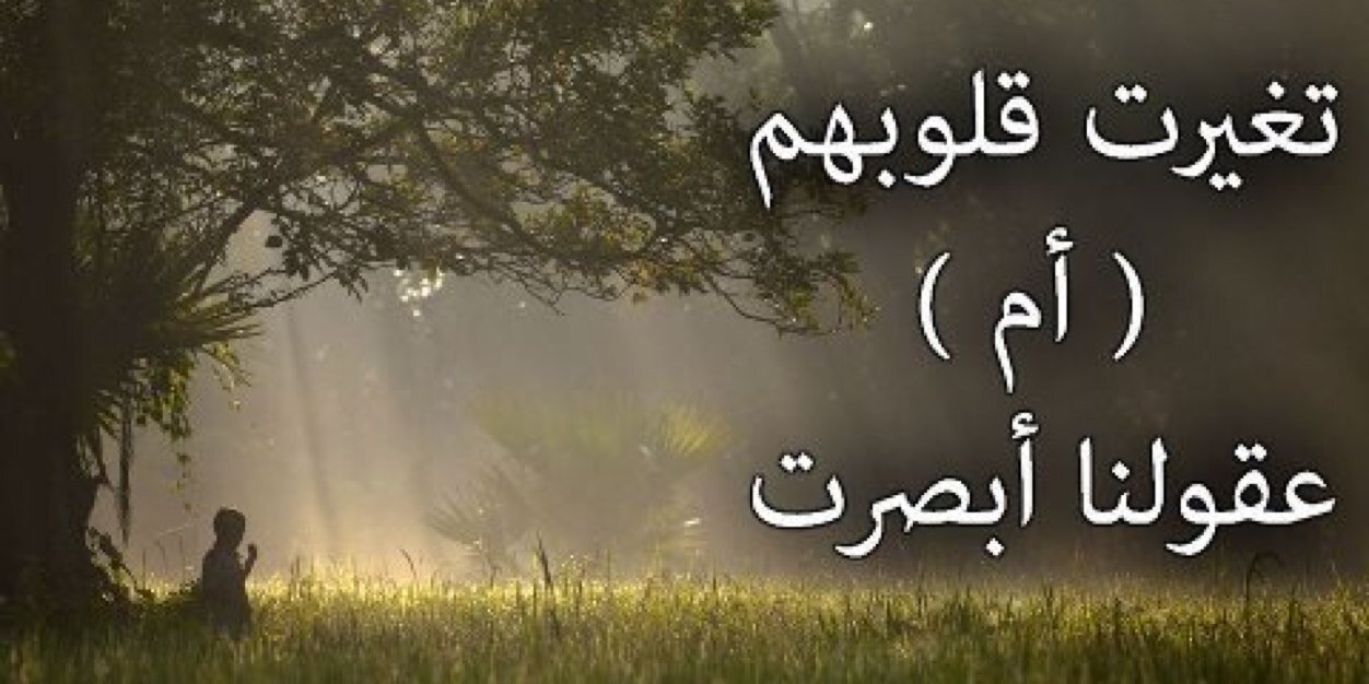 HmmNada's profile banner image
