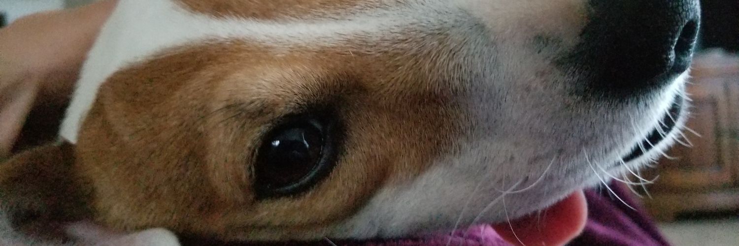 bpj1701's profile banner image