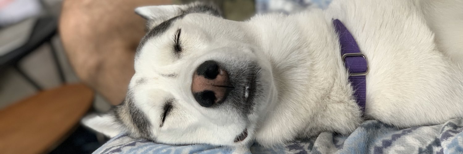 RogerDuplease banner