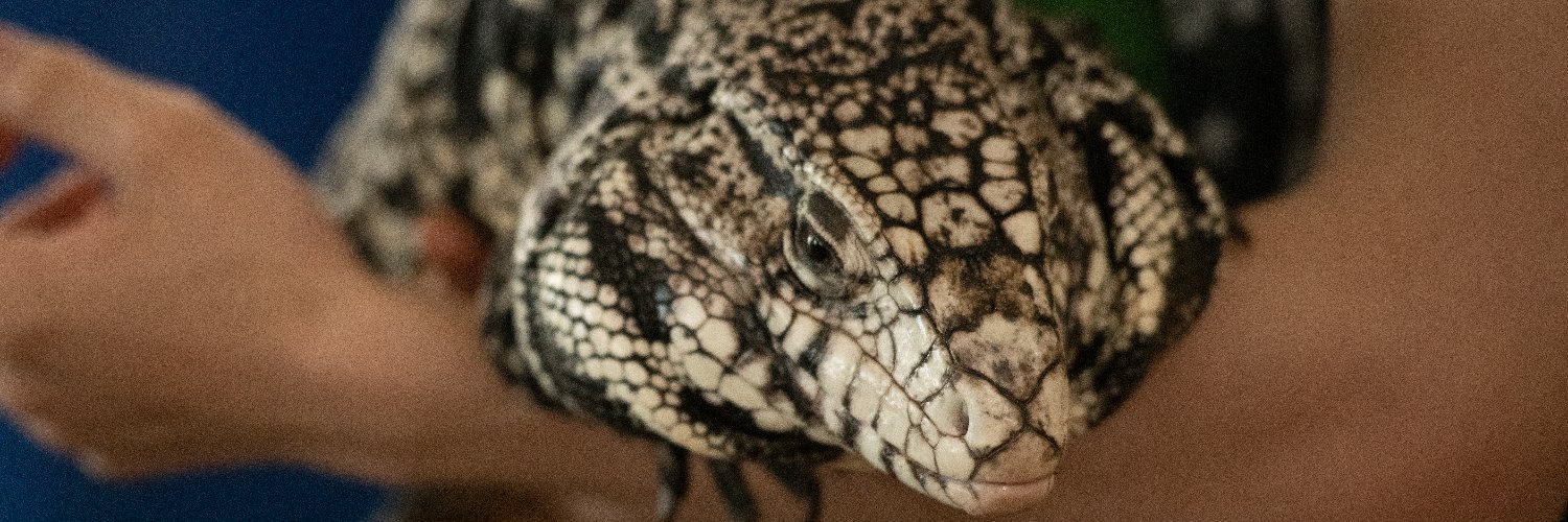 ABReptileParty's profile banner image