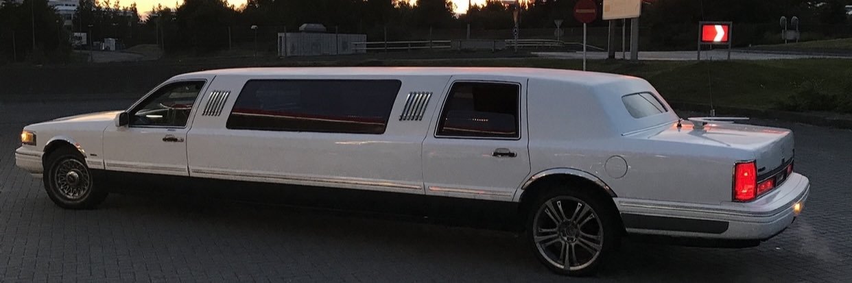 Logi Geirsson banner