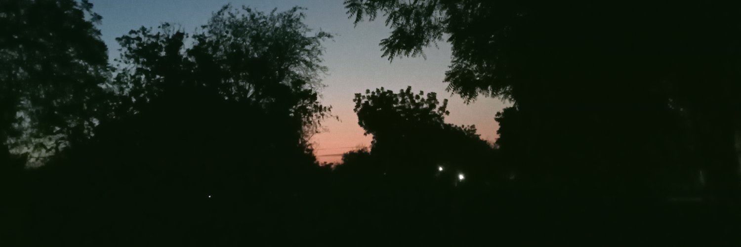 simra_razvi's profile banner image
