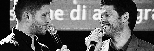 AprilGT26's profile banner image