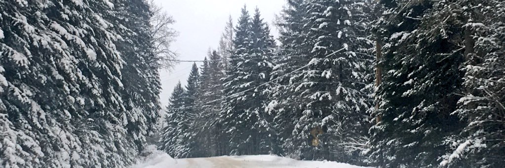 AndreeLeon98's profile banner image