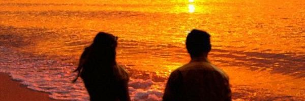 RobinSc13302643's profile banner image