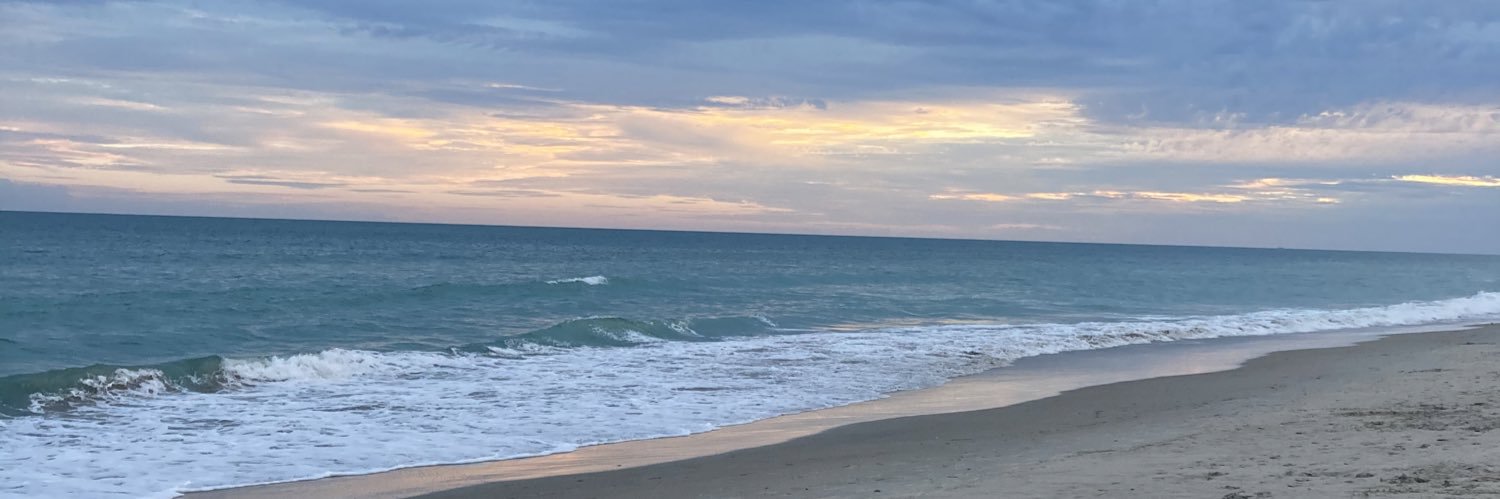 F3_Dolphin's profile banner image