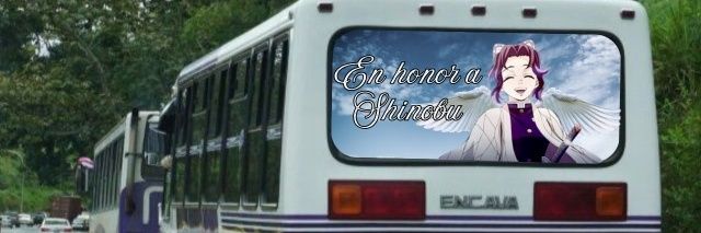 Pilar del Insecto 🦋🇻🇪 banner