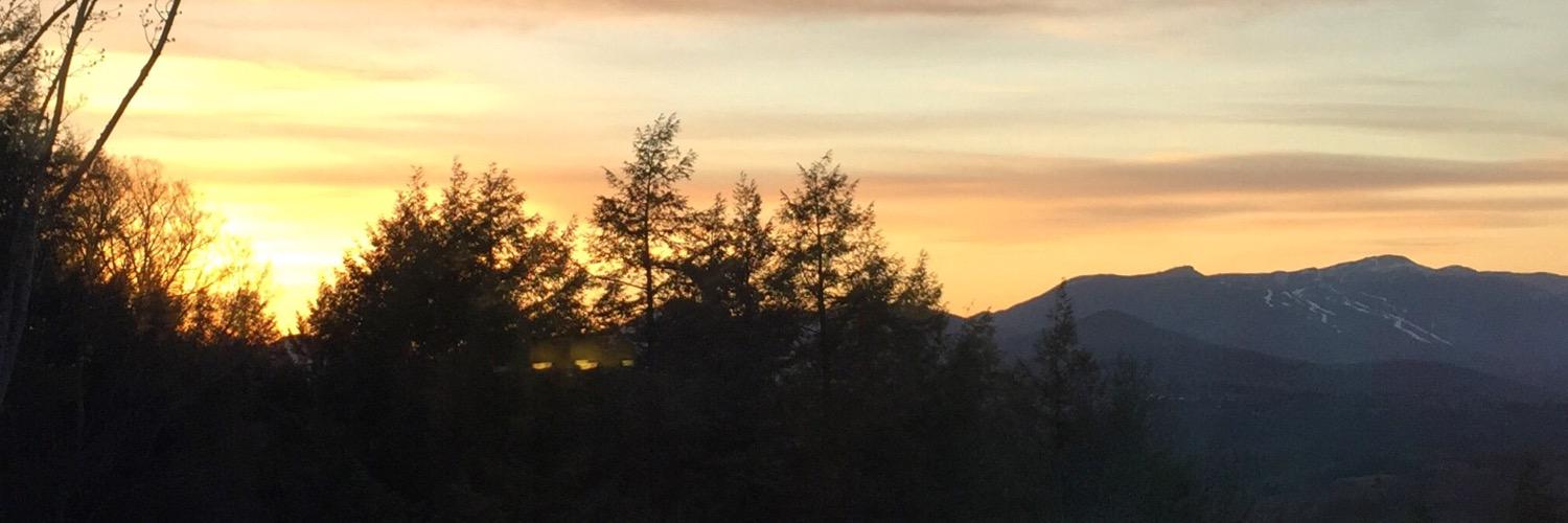 stowescenes's profile banner image