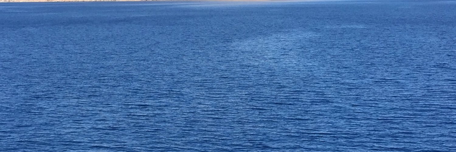 Flowwing's profile banner image