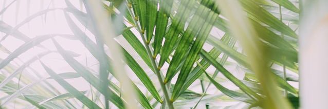 CamilaEspinal's profile banner image