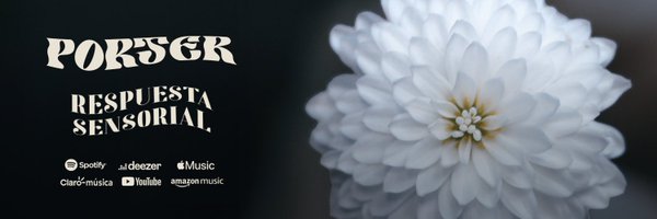 Porter Oficial Profile Banner