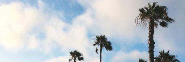 AndreaDaCostac's profile banner image