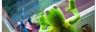 baykermit's profile banner image