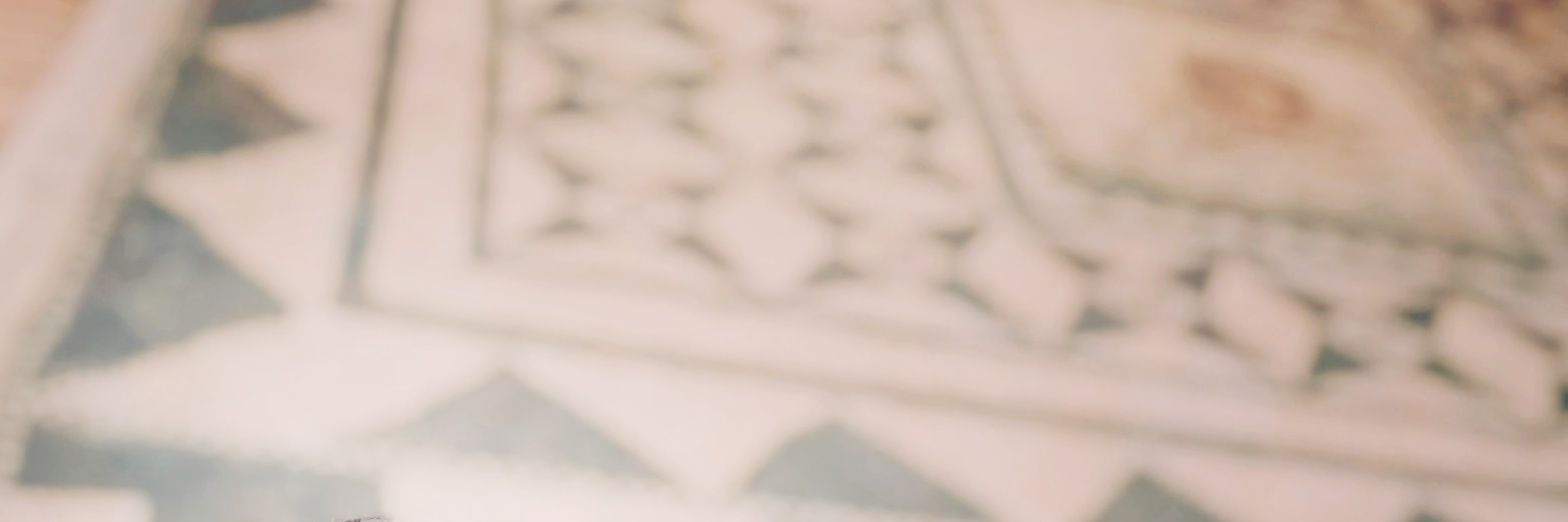 Mónica L. del Consuelo banner