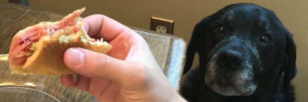 RadWill_ Profile Banner