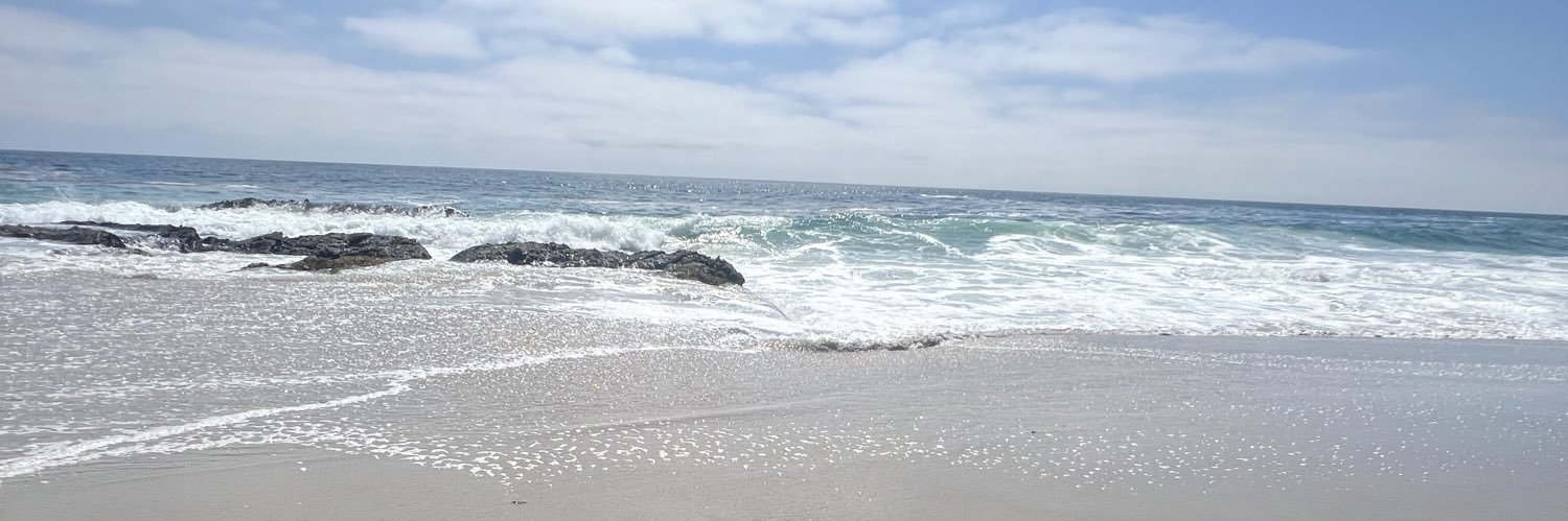 megbow7's profile banner image