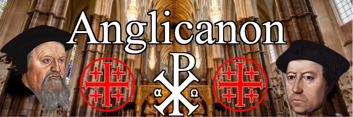 Anglicanon (Trust me, I have an M. Div.)⚓'s banner