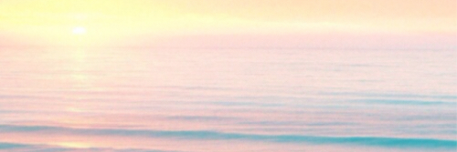 vida_bieber's profile banner image
