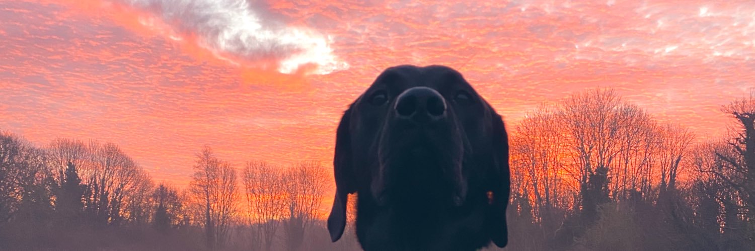 Sanders_Charl's profile banner image