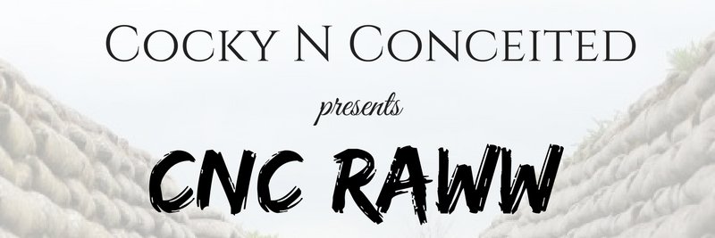cnc_studios843's profile banner image