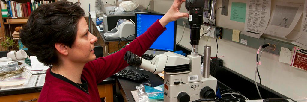MSU Extension Plant Diagnostic Lab's banner