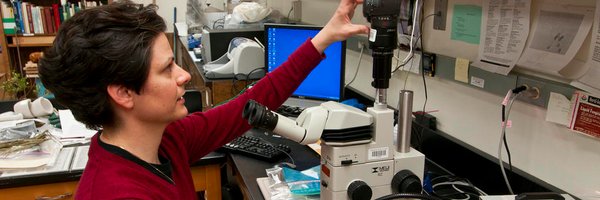 MSUextPlantLab Profile Banner