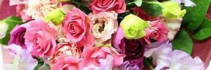 writtersmile's profile banner image