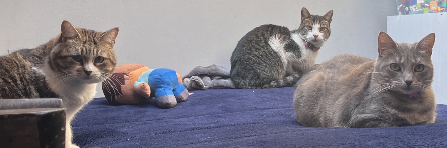 Mari🐈 banner