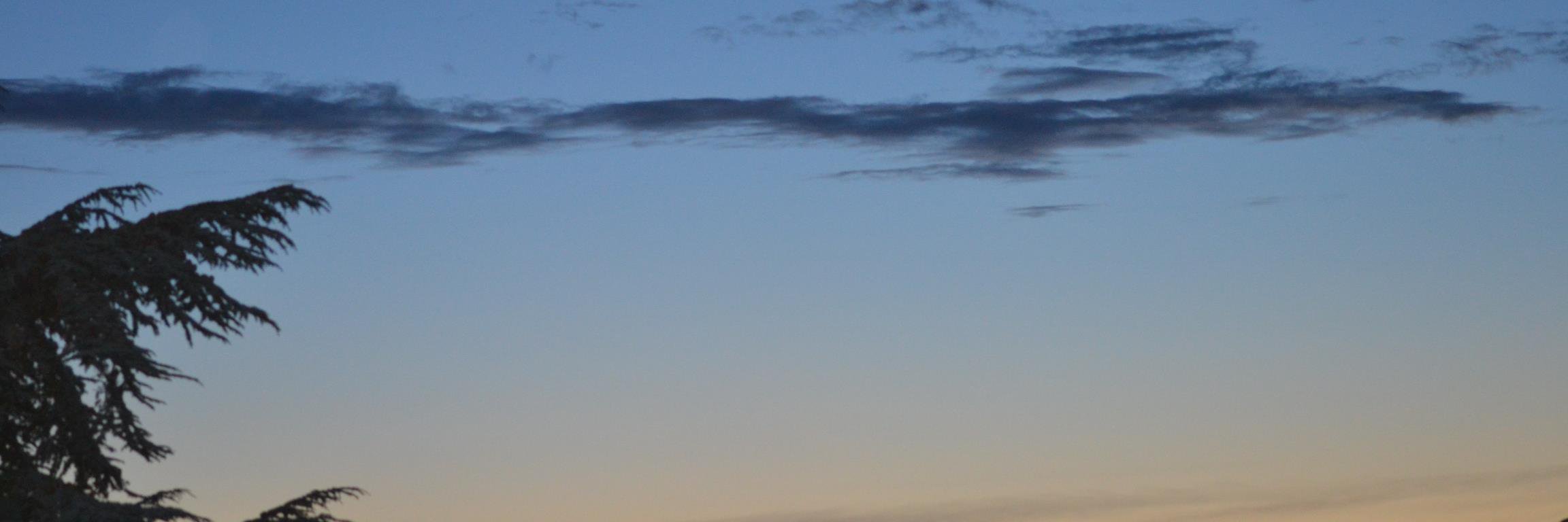 refnrabbit's profile banner image