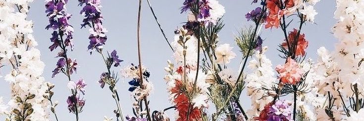 jenneraaaaaa__'s profile banner image