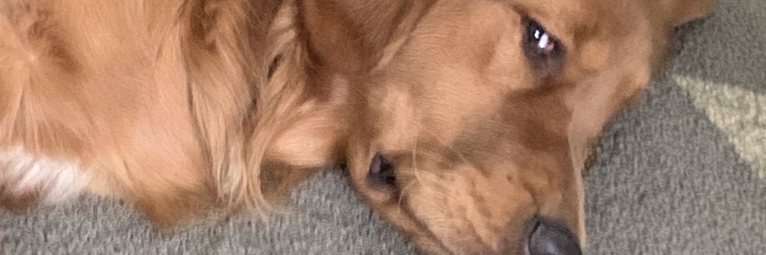 SmityWorldPeace's profile banner image