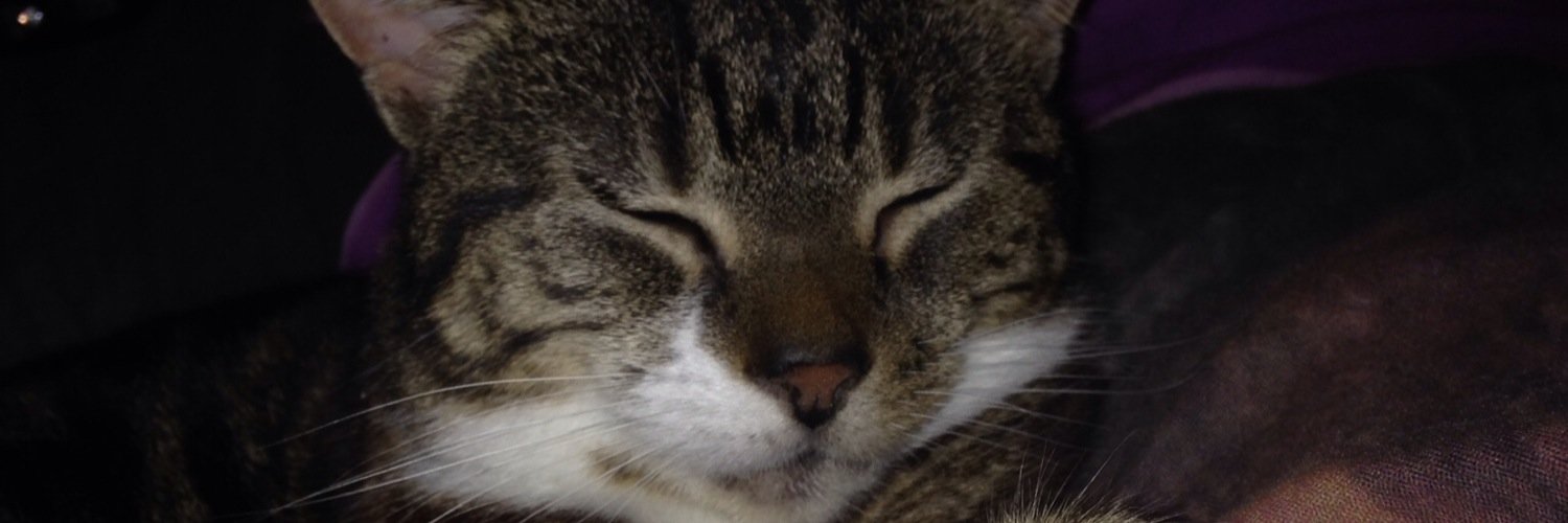 ChanieceeB's profile banner image