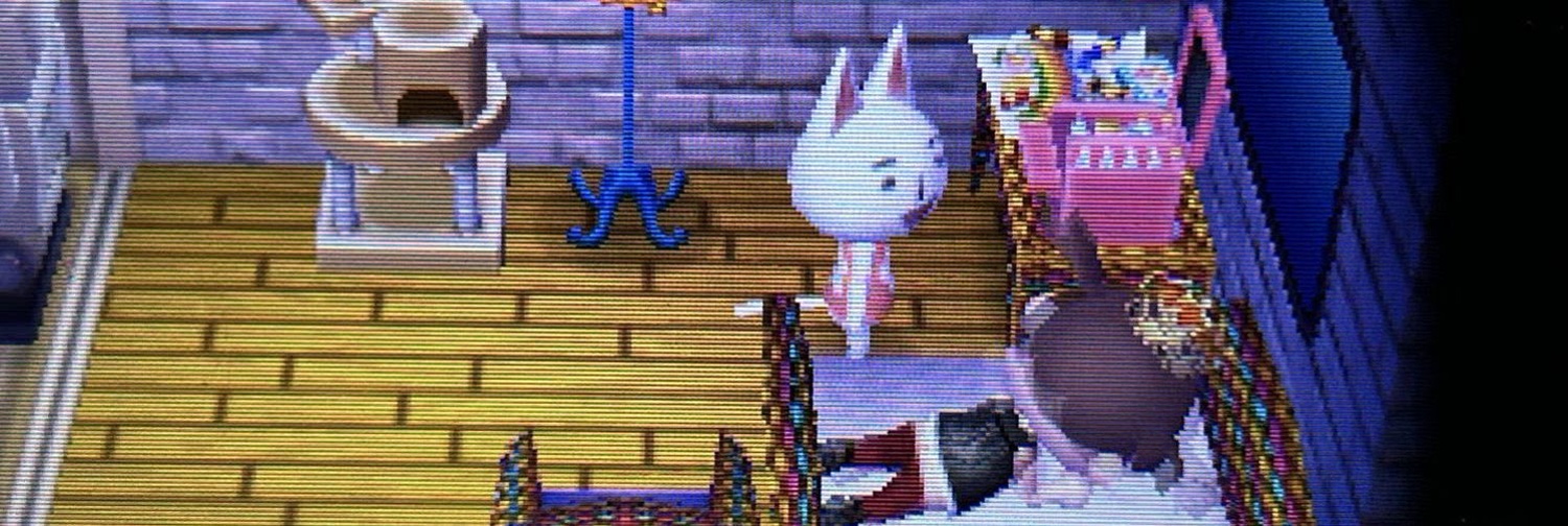 PeeNochey's profile banner image