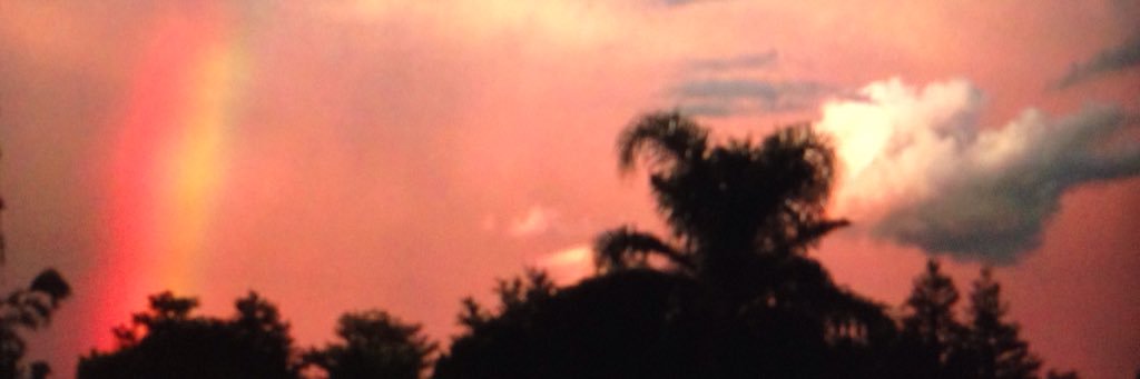 ShazBooty714's profile banner image