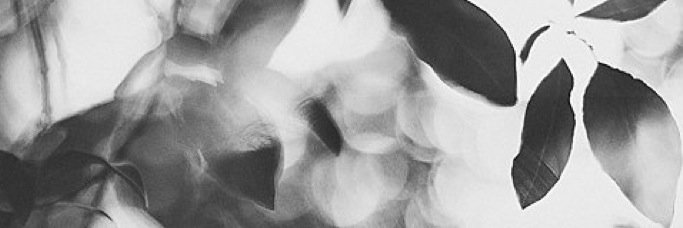 lovinessinsky's profile banner image