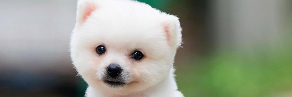 CoolGir22366963 Profile Banner