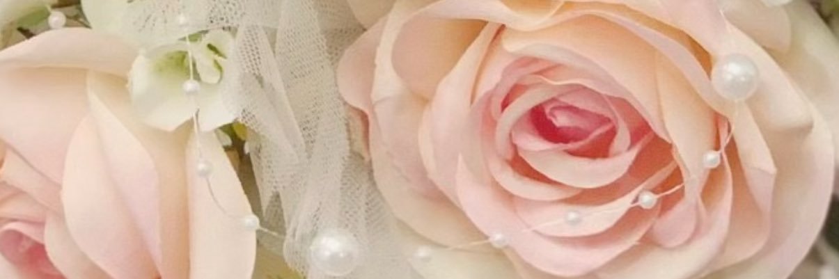 とろろ banner
