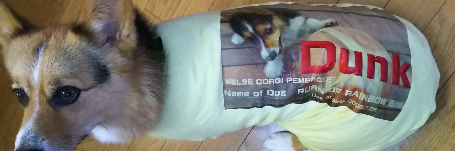 CORGI　大好き banner