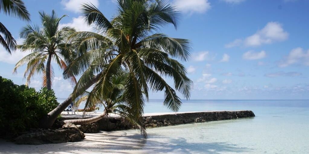 Rbr08 🇪🇨 banner