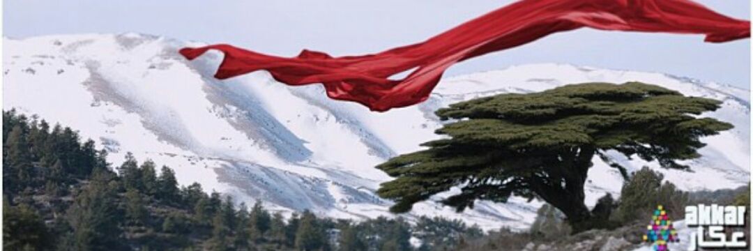 Tahhan_Doaa's profile banner image