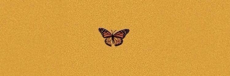 dnada961's profile banner image