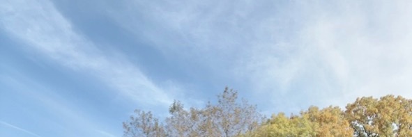 flower_leaves's profile banner image