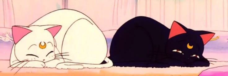 sailortrizte's profile banner image