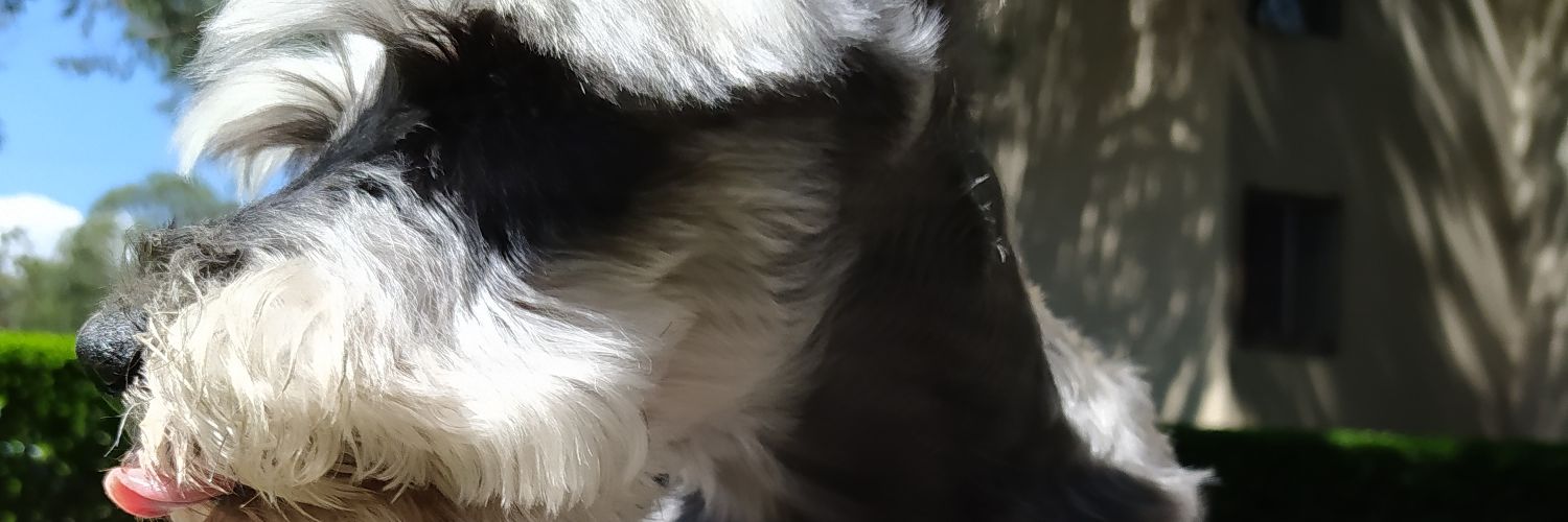 soyadrianaha's profile banner image