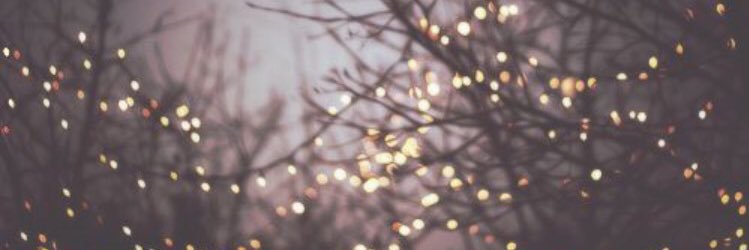 lexicristiani's profile banner image